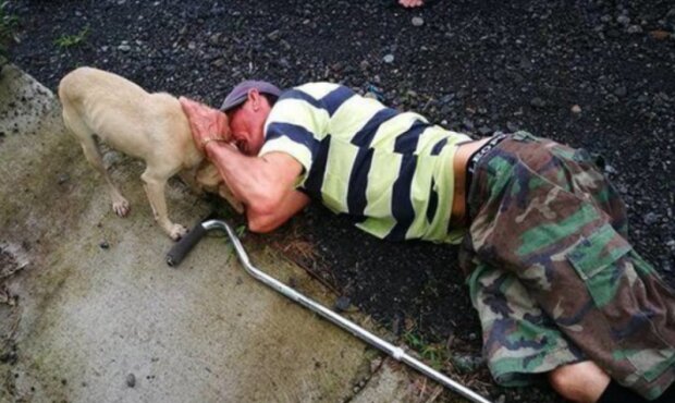 Pes. Foto: snímek obrazovky laykni.com