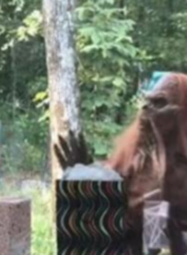 Překvapení. Foto: snímek obrazovky TikTok