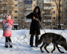 S vlkem ve stejném domě: rodina zkrotila divoké zvíře a nyní je skutečným členem rodiny