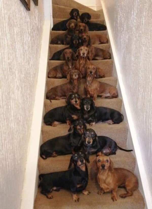 Fotografie: leprechaun.land