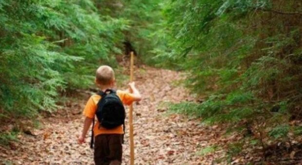 Chlapec uslyšel žalostné kňučení, bylo to vlčí mládě, které se chytlo do želez. Vzpomněl si na všechny dovednosti, které ho otec naučil