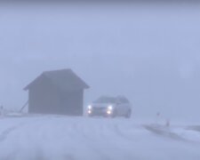 Teplé bundy přijdou tento týden vhod: Meteorologové řekli, jakých nejvyšších teplot se dočkáme. Aktuální předpověď