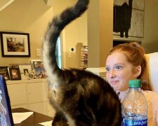 Fotografie: reddit.com