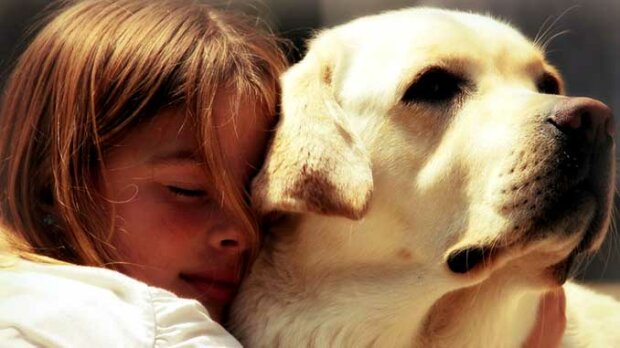 Nejlepší plemena malých, středních a velkých psů pro děti: psovodi zveřejnili hodnocení