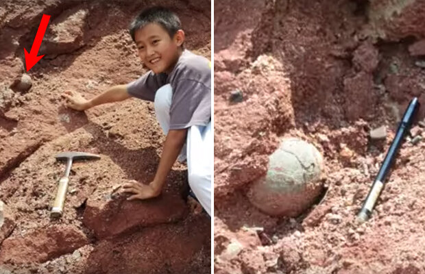 10letý chlapec nalezl prehistorická vejce dinosaura