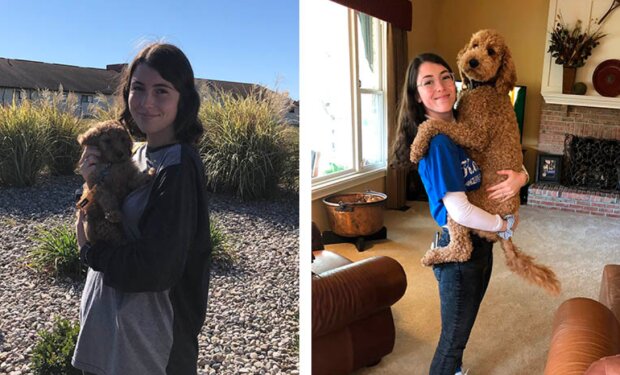 Pes a holka. Foto: snímek obrazovky skaggarita / twitter