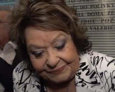 Jiřina Bohdalová získala Titul Mistr zábavního umění: Nominace vznikají na základě hlasování