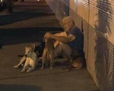 Šest pejsků zoufale běželo za sanitkou, ve které byl jejich páníček. "Bez nich by můj život postrádal smysl"