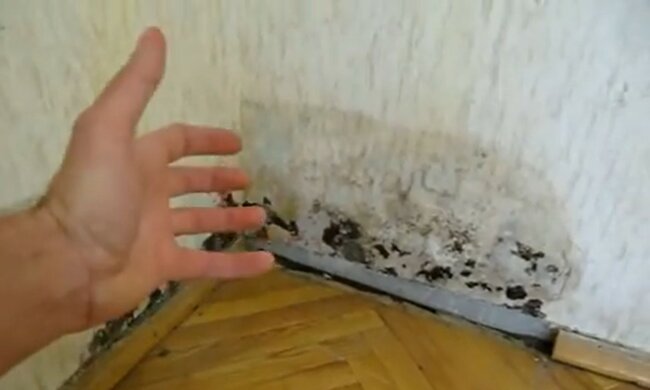 Jak se zbavit vlhkosti a plísní v bytě, Foto: snímek obrazovky YouTube