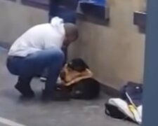 Muž s laskavým srdcem dal košili psovi, který zmrzl