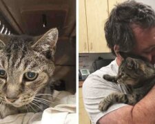 Muž neúspěšně hledal kocoura rok. Setkali se po sedmi letech a nedokázal "nikdo udržet slzy"