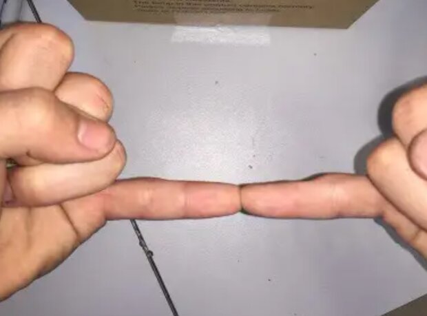 Fotografie: bigpicture.ru