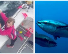 9letá holka ulovila obrovského tuňáka, Foto: snímek obrazovky YouTube