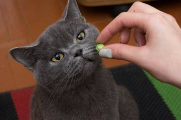 Fotografie: 123rf.com