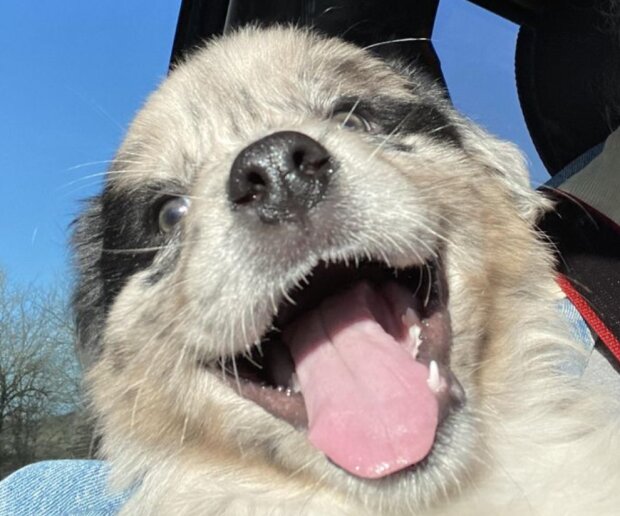 Fotografie: laykni.com