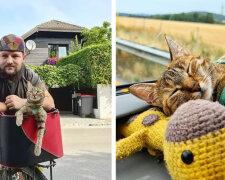 "Od svářeče k cestujícím": Kočka Nala dva roky cestuje se svým majitelem po světě na kole