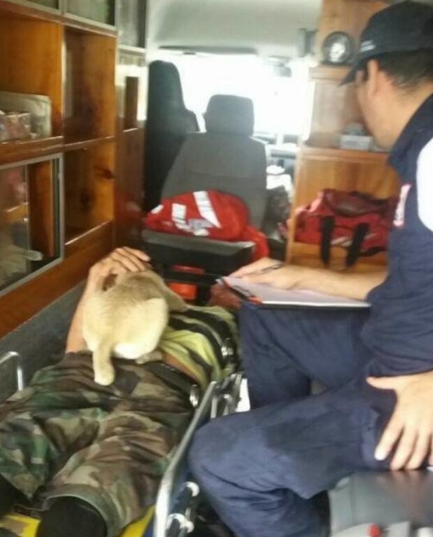 Pes a muž. Foto: snímek obrazovky laykni.com