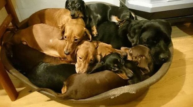 Fotografie: leprechaun.land