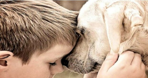 Věčné přátelství: "nechte psy žít málo, ale brána ráje je pro ně vždy otevřená»