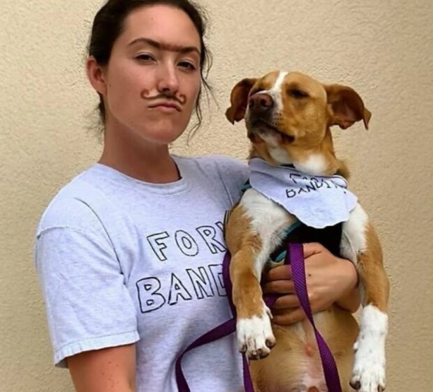 Holka a pes. Foto: snímek obrazovky Instagram