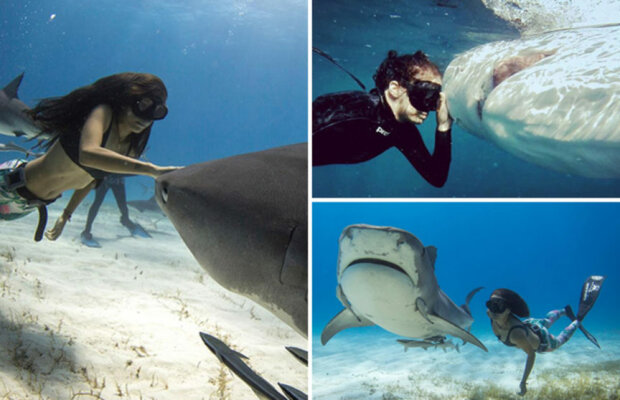 Slečna z Austrálie plave se žraloky od 12 let