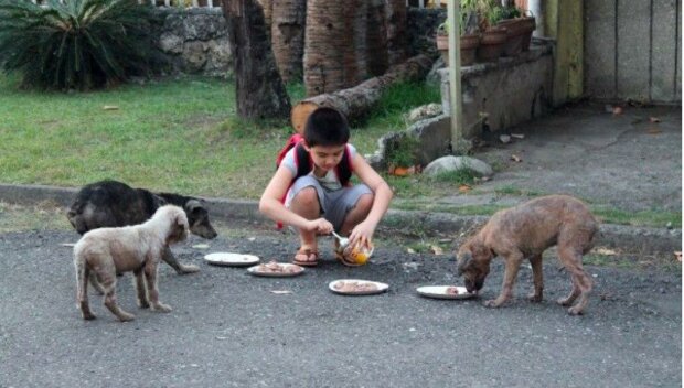 Filipínský chlapec utracoval všechny své peníze za jídlo pro toulavé psy a je příkladem pro mnoho dospělých