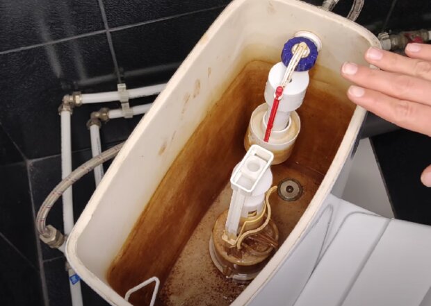 Foto: snímek obrazovky YouTube