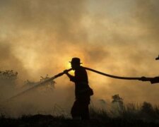 Po karanténě následuje potopa, sucho a hladomor. Prognózy pro  rok 2020 jsou stále chmurnější