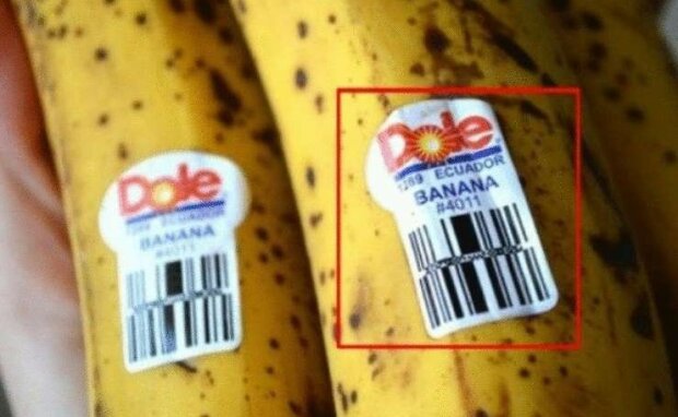 Fotografie: lime.energy