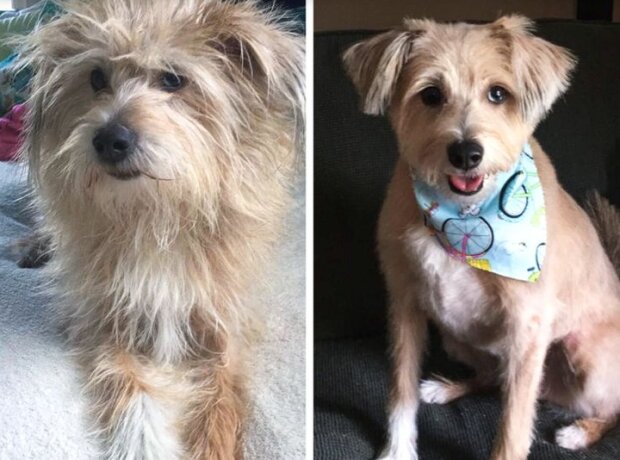 Fotografie: duck.show