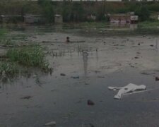Chlapec vlezl do jámy se špinavou vodou a odpadky, aby zachránil štěně: podrobnosti
