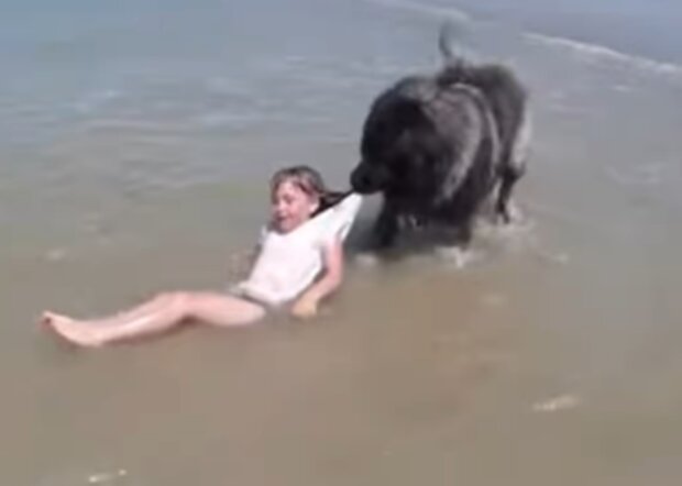 Zvíře a ditě. Foto: snímek obrazovky YouTube