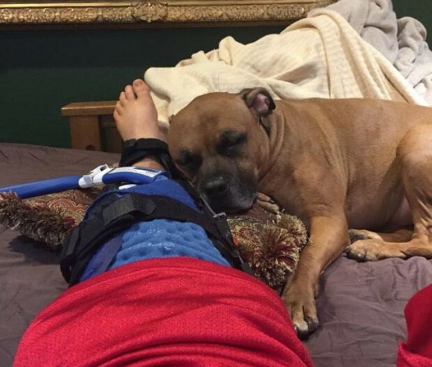 Fotografie: 4tololo.ru