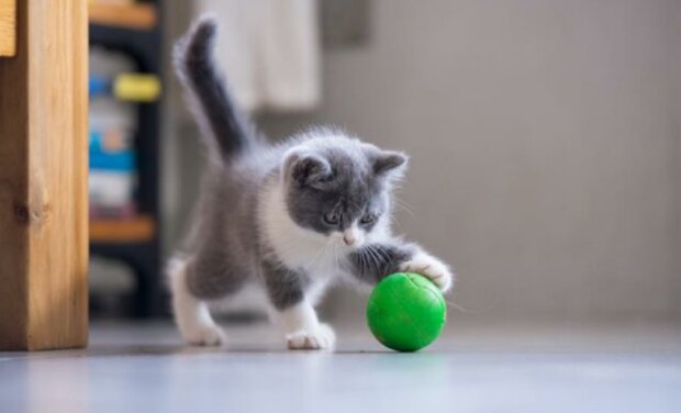 Fotografie: dailymail.co.uk