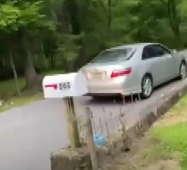 Nezvaný host. Foto: snímek obrazovky YouTube