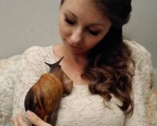 „Ideální mazlíček“: Paní považuje svého obřího šneka za nejlepšího mazlíčka na světě