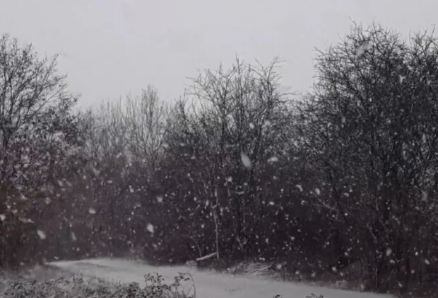 Počasí. Foto: snímek obrazovky YouTube