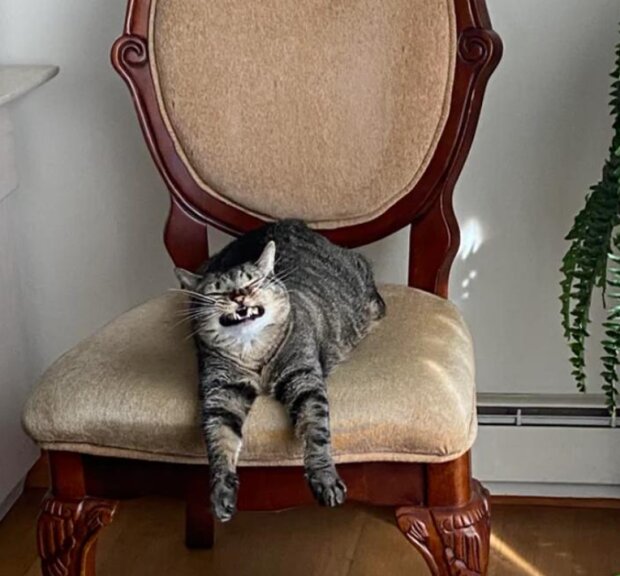 Fotografie: reddit.com