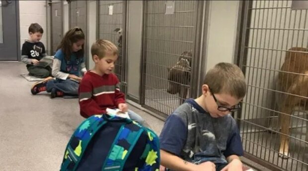 Děti čtou zvířatům v útulku. Nový vzdělávací program se setkal s velmi pozitivní reakcí. "Má to velmi uklidňující účinek"
