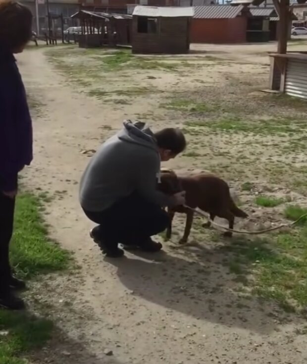 Majitel a pes. Foto: snímek obrazovky YouTube