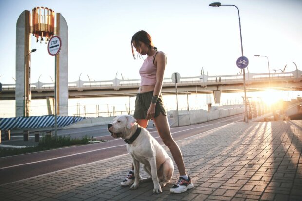 Sport s oblíbencem: jak proměnit procházku se psem na trénink