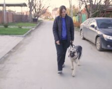 Statečná fenka ve chvíli nebezpečí zachránila majitelku