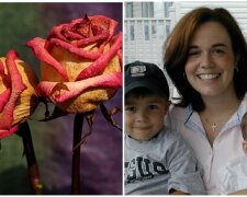 Po 11 letech manželství manžel opustil svou ženu a odešel. O dva roky později jí děti přinesly uschlé květiny