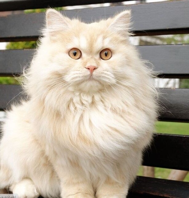 Fotografie: laykni.com