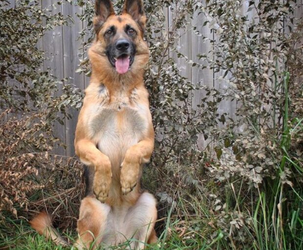 Fotografie: laykni.com