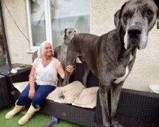 Fotografie: leprechaun.land