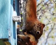 Fotografie: youtube.com