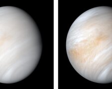 Existuje-li život na Venuši. Vědci našli známky