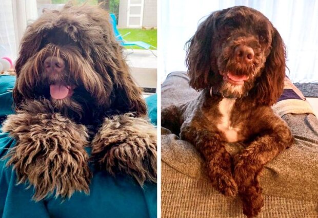 Fotografie: duck.show