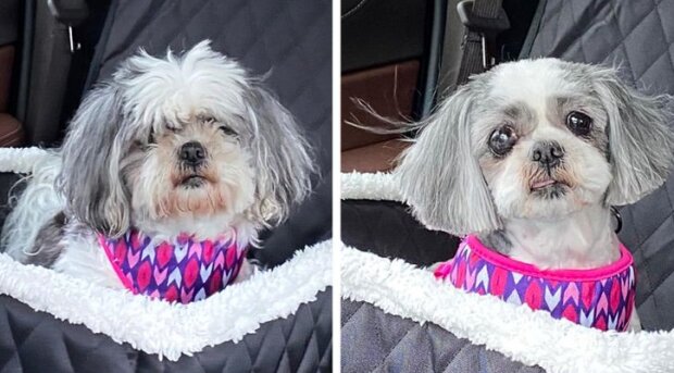 Fotografie: duck.show